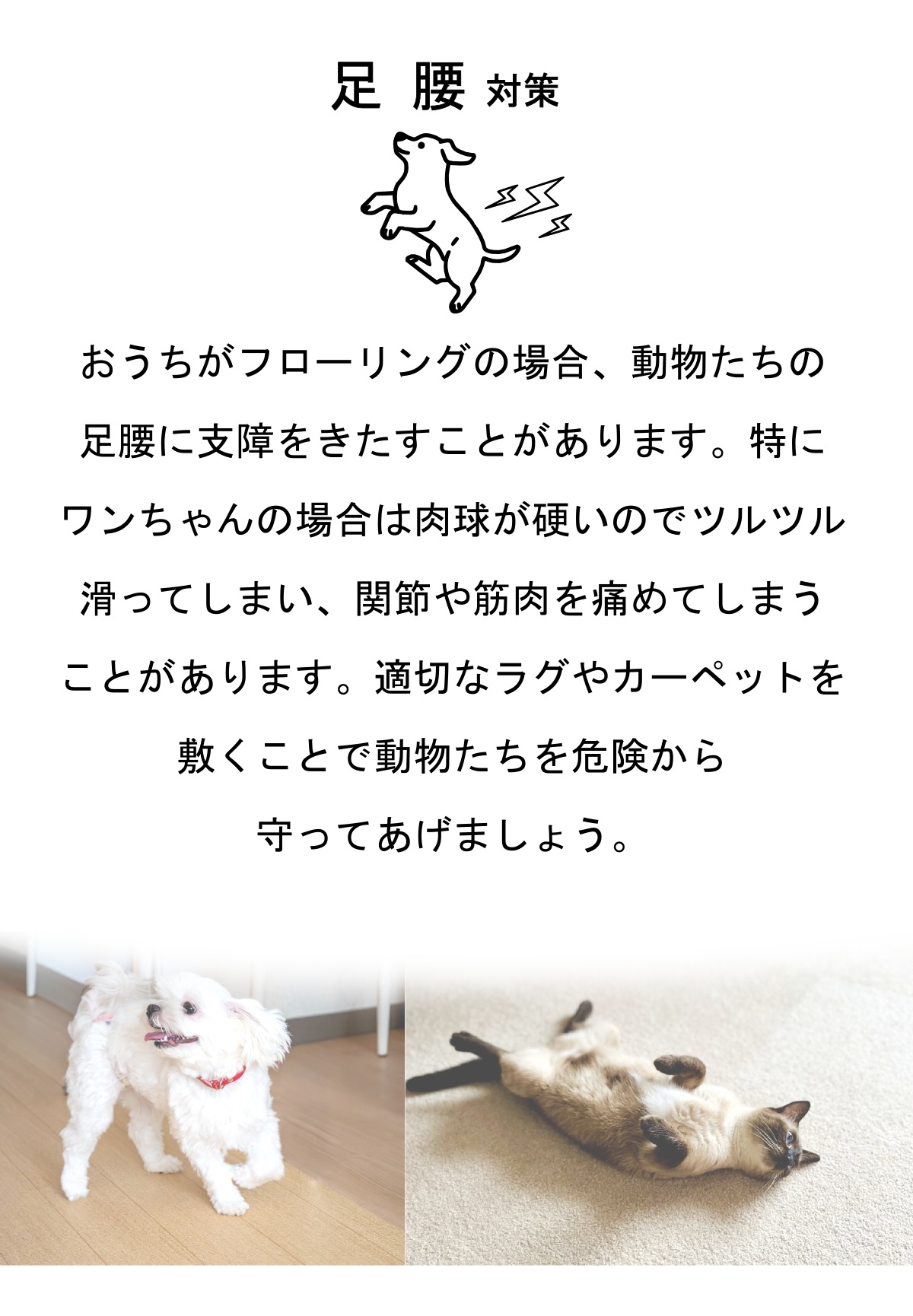 ペットの汚れ対策カーペット