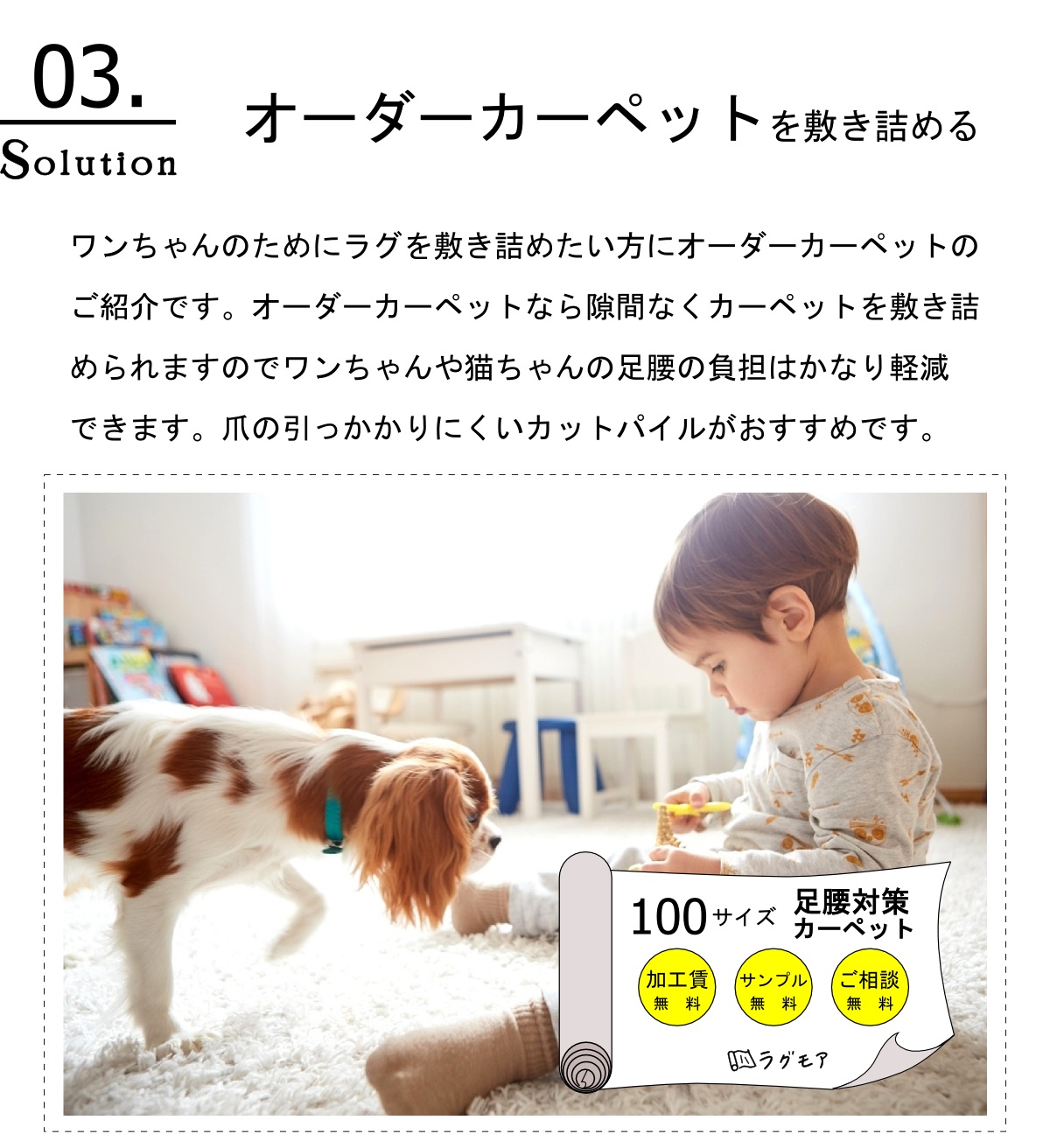 ペットの汚れ対策カーペット