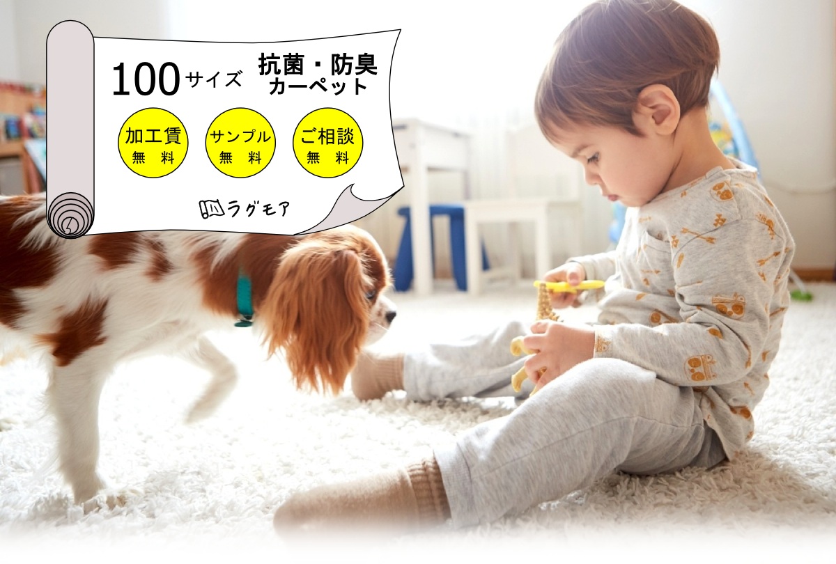 100サイズ抗菌・防臭カーペット特集