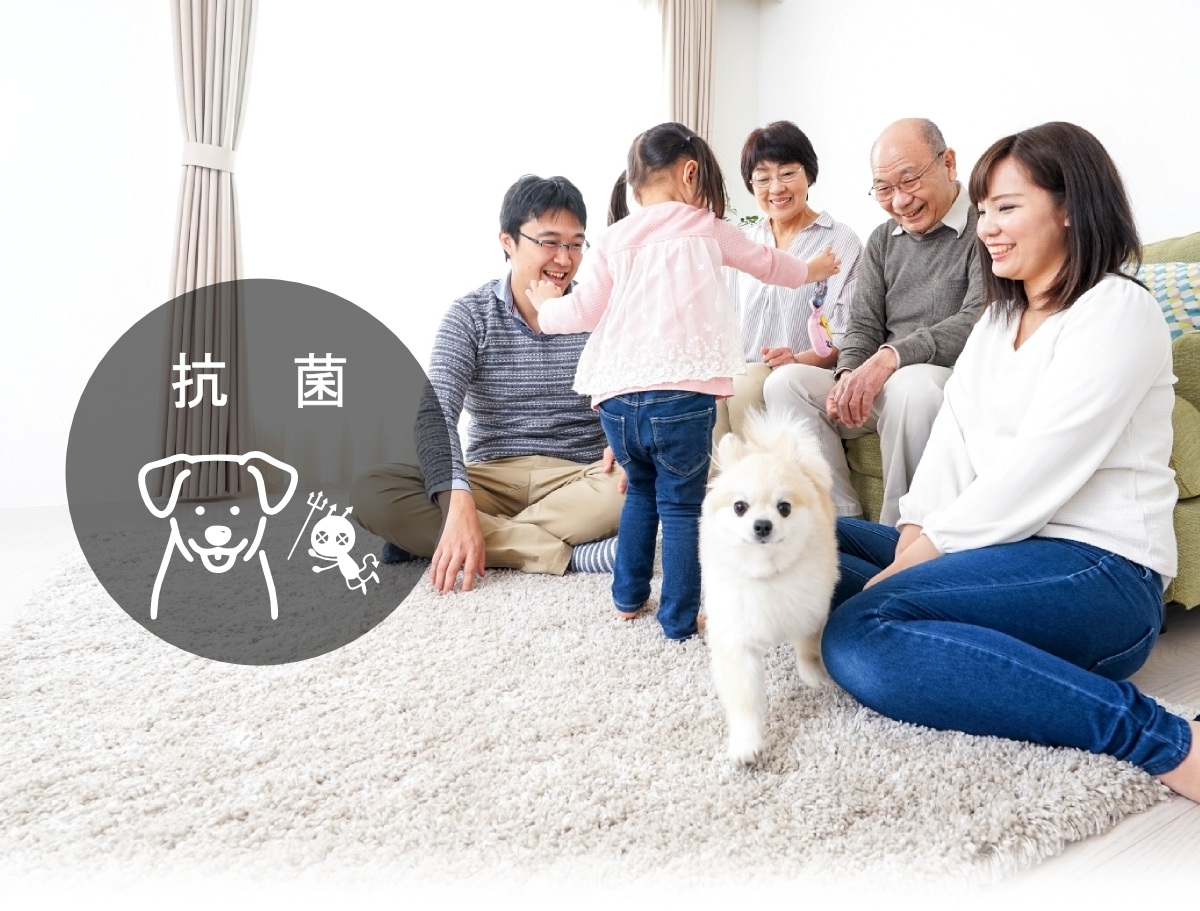 抗菌・防臭ラグシリーズ