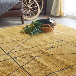 ムシカビクリーン