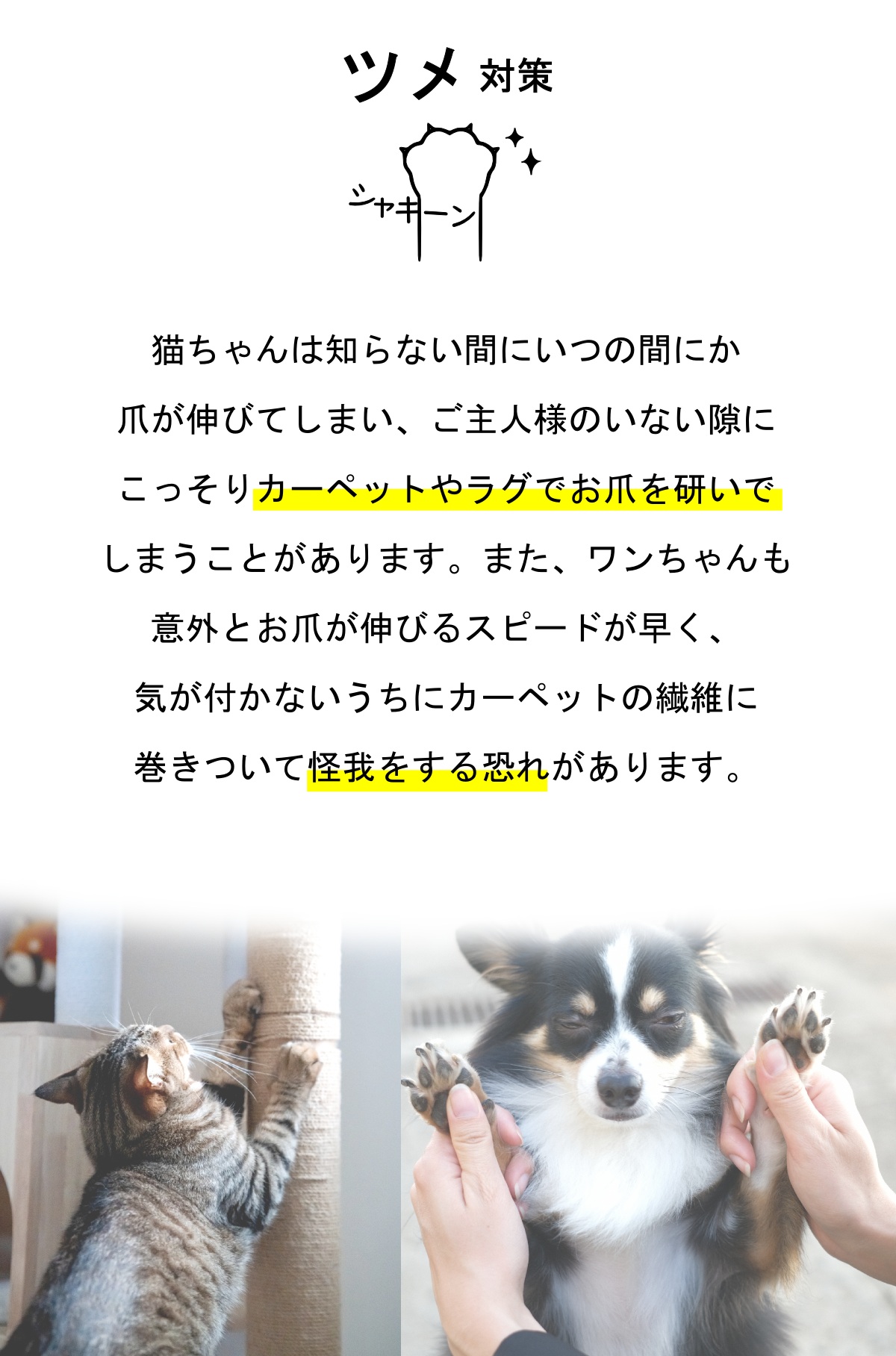 ペットの爪対策カーペット