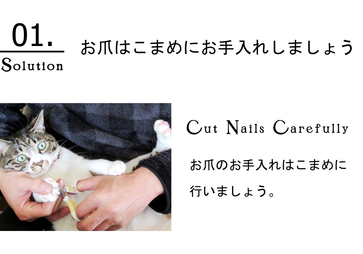 ペットの爪対策カーペット