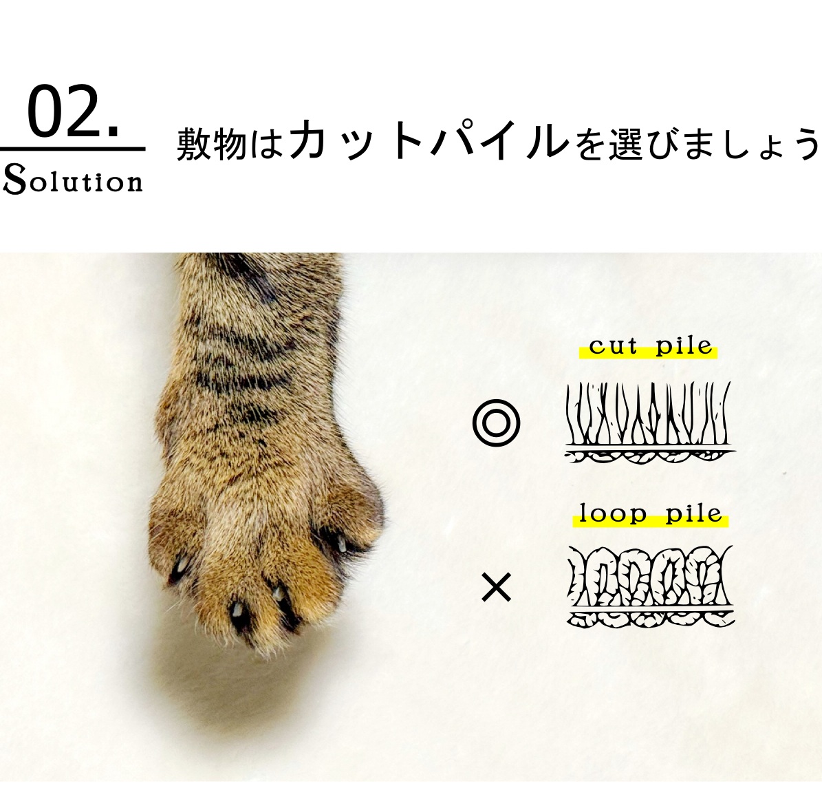 ペットの爪対策カーペット