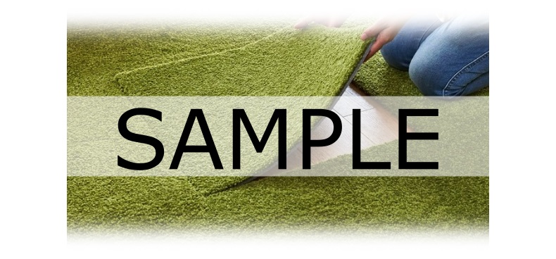 ナイスラグのサンプル