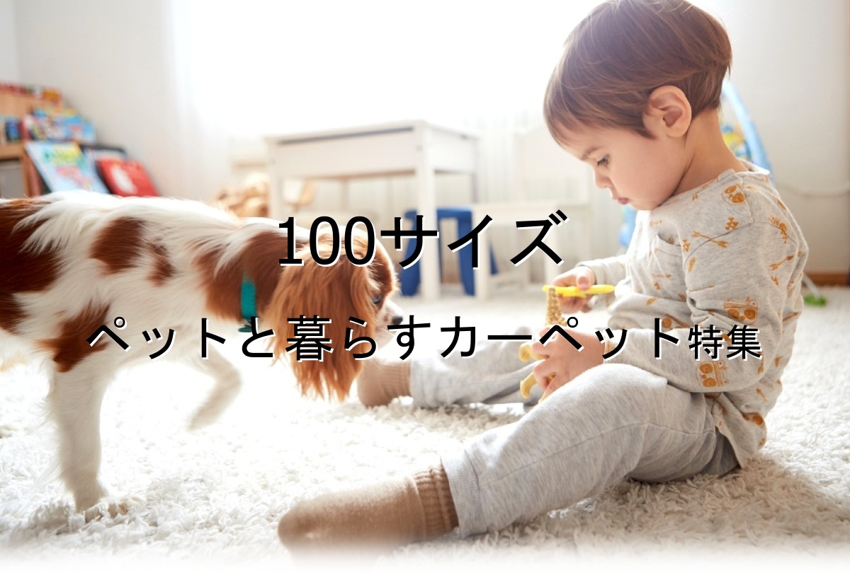 ペットと暮らすためのカーペット特集