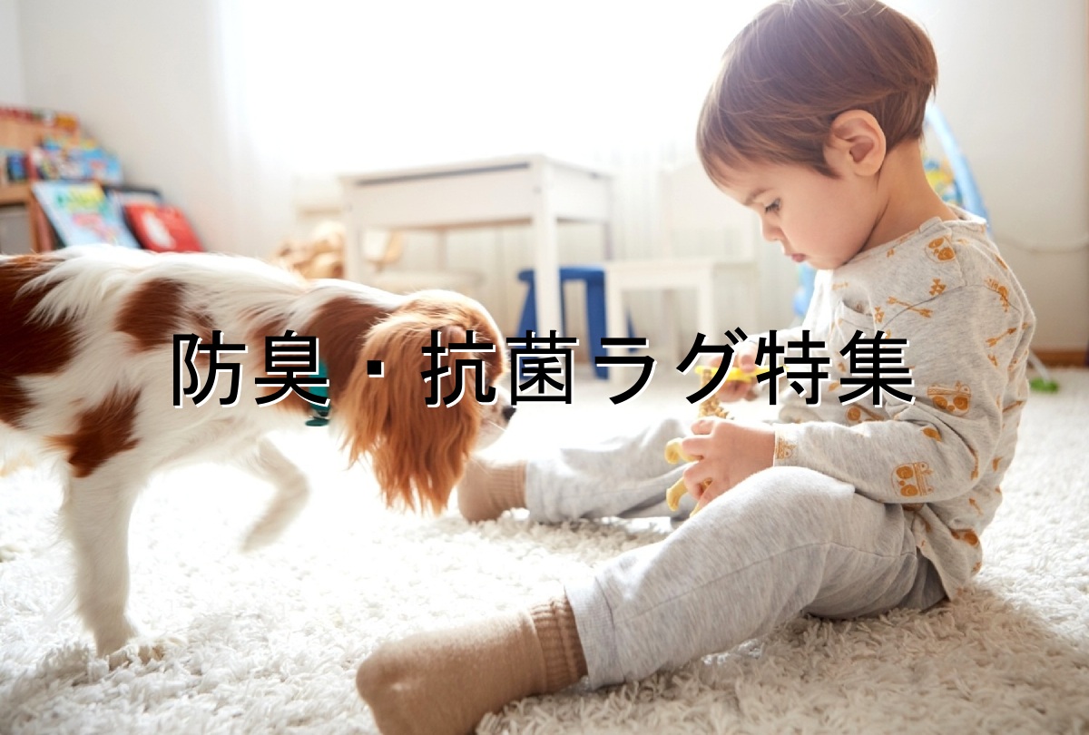 抗菌・防臭ラグ