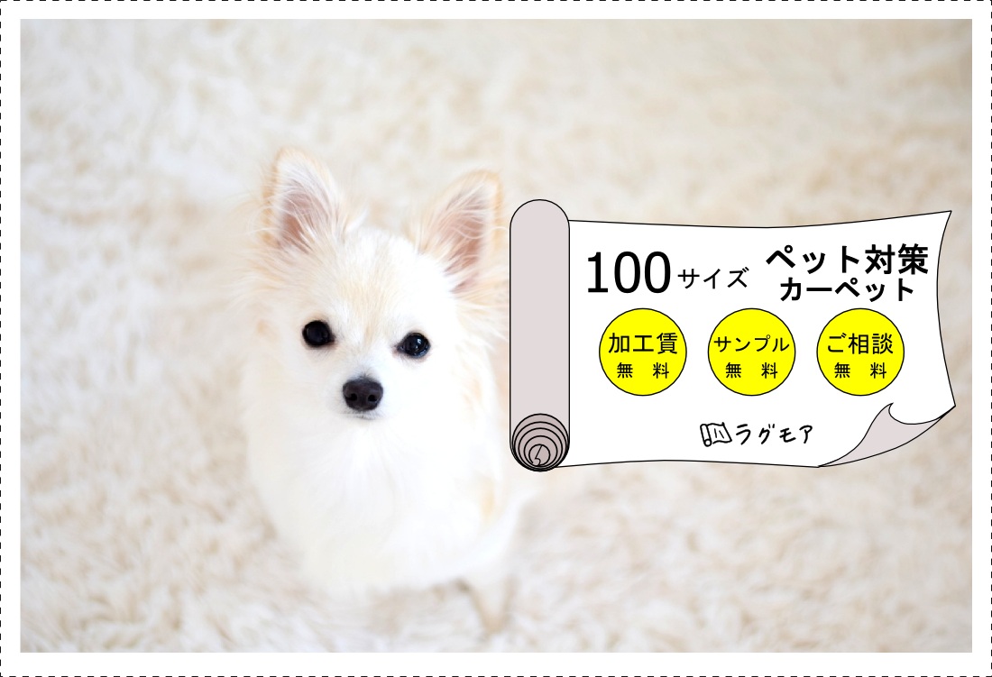 抗菌・防臭ラグ