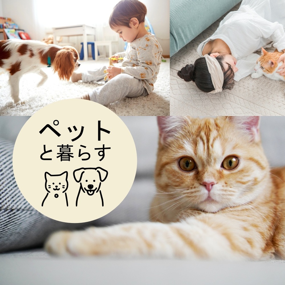 ペットと暮らす方におススメのアイテム特集