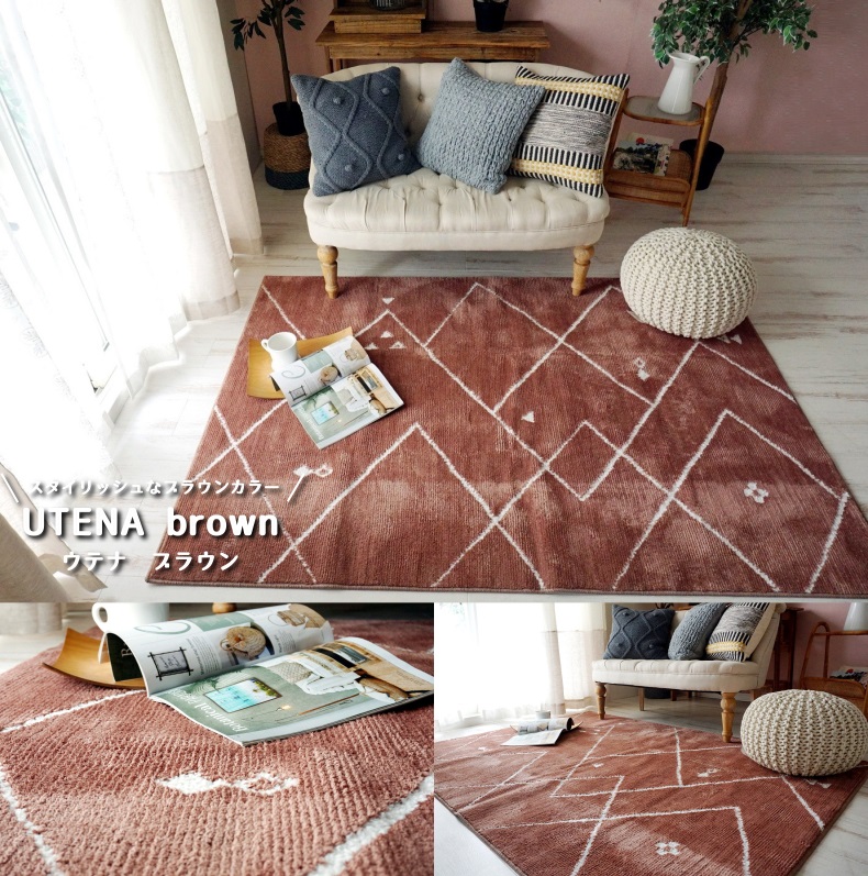 制菌・抗ウイルス・遊び毛防止・防ダニ・ウォッシャブル機能がついた高機能ラグ