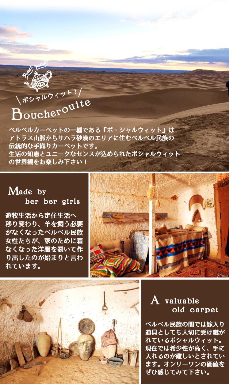 ポシャルウィットの説明