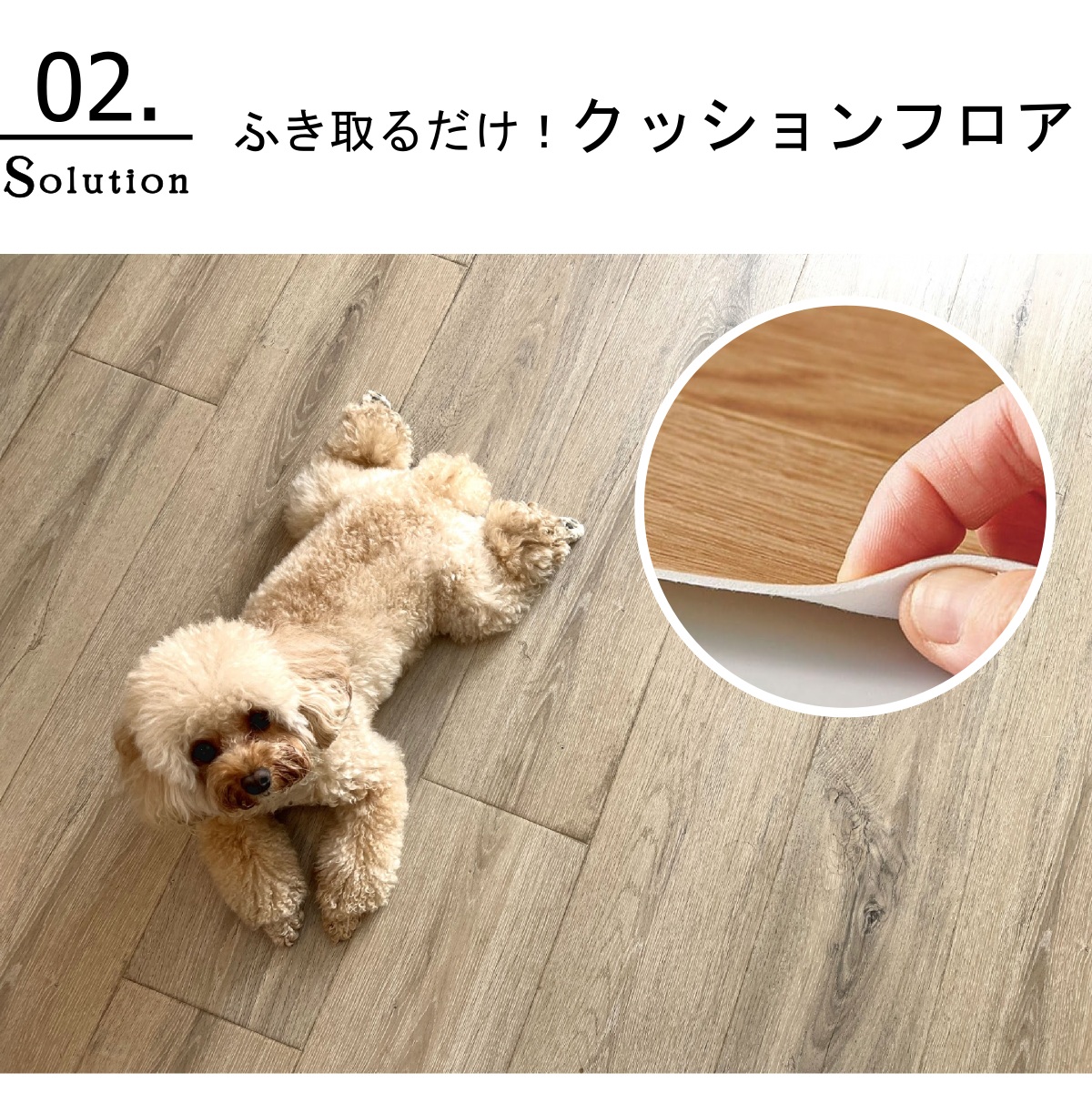 ペットの汚れ対策カーペット