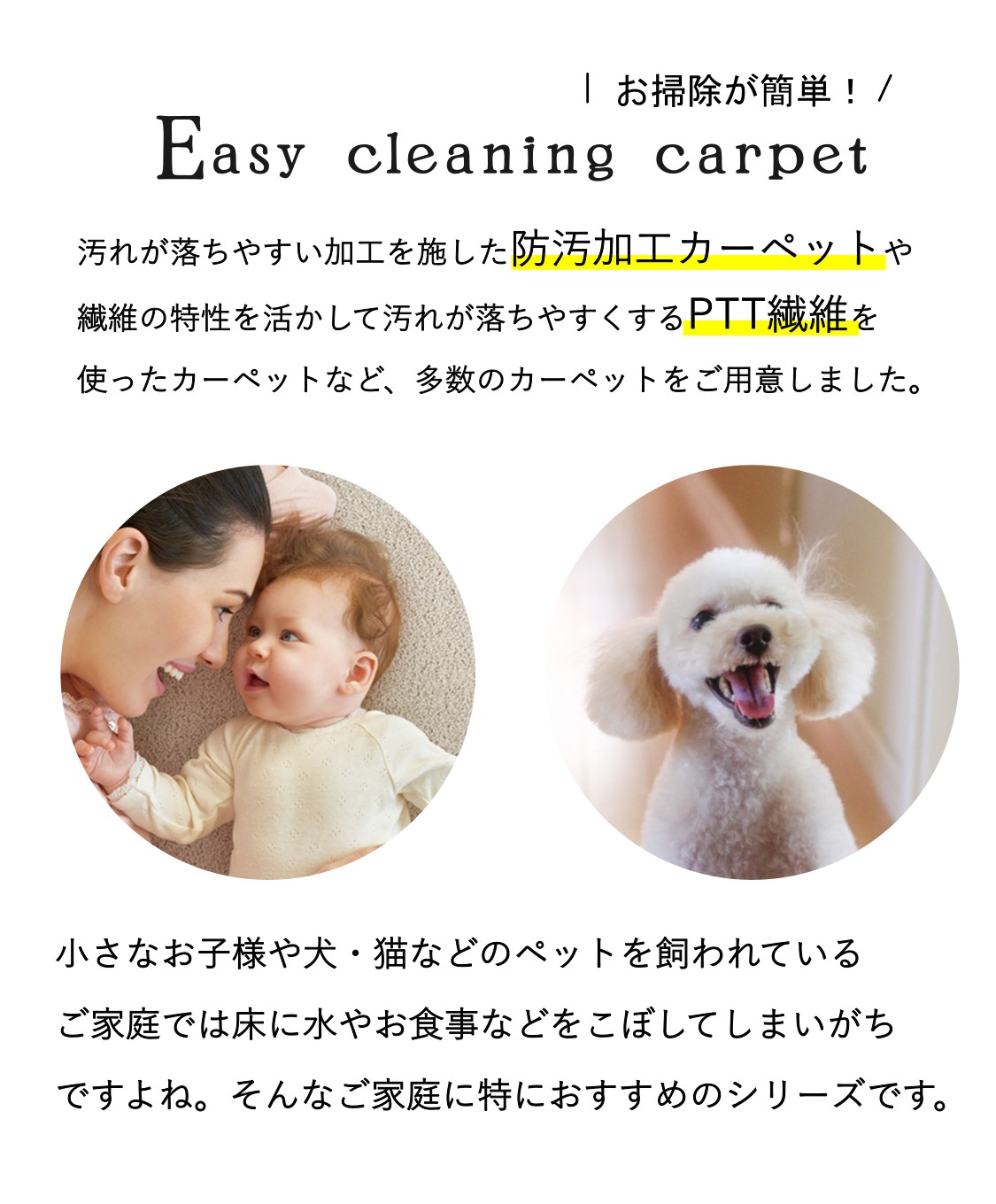 ペットの汚れ対策カーペット