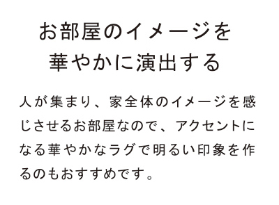 デザインで選ぶラグ