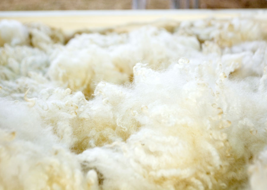 ウール素材アップ