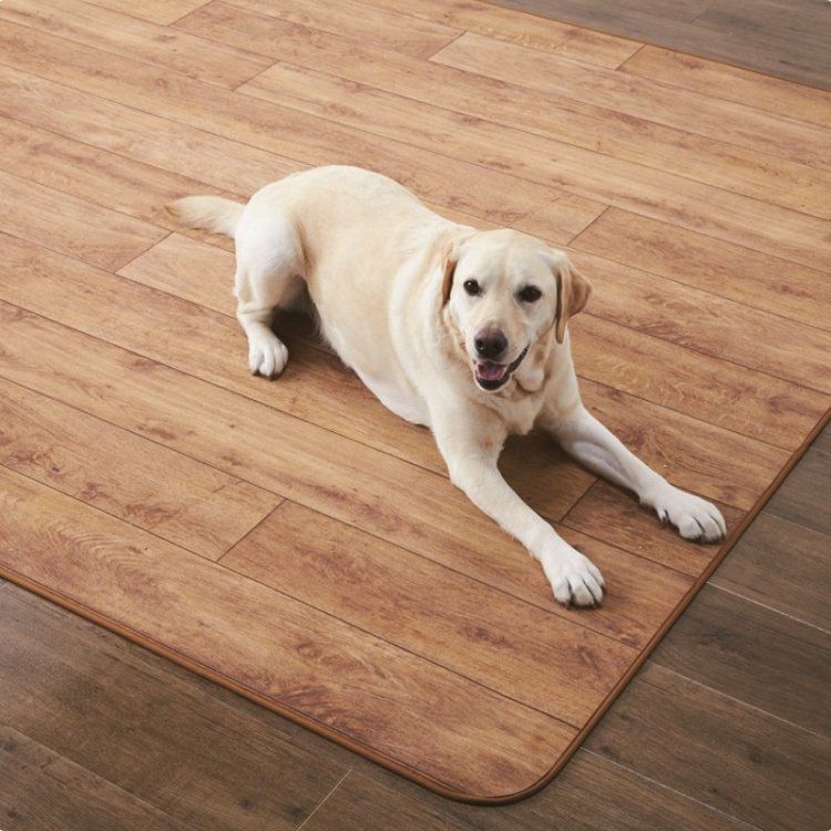 ペット用カーペット ペット（犬）と暮らしている方にお勧め！洗える・防炎・抗菌・遮音・静